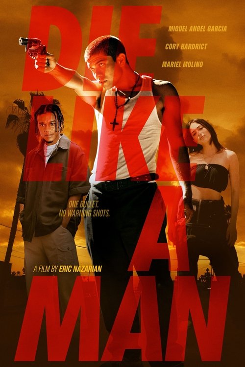 Die Like a ManHình bìa