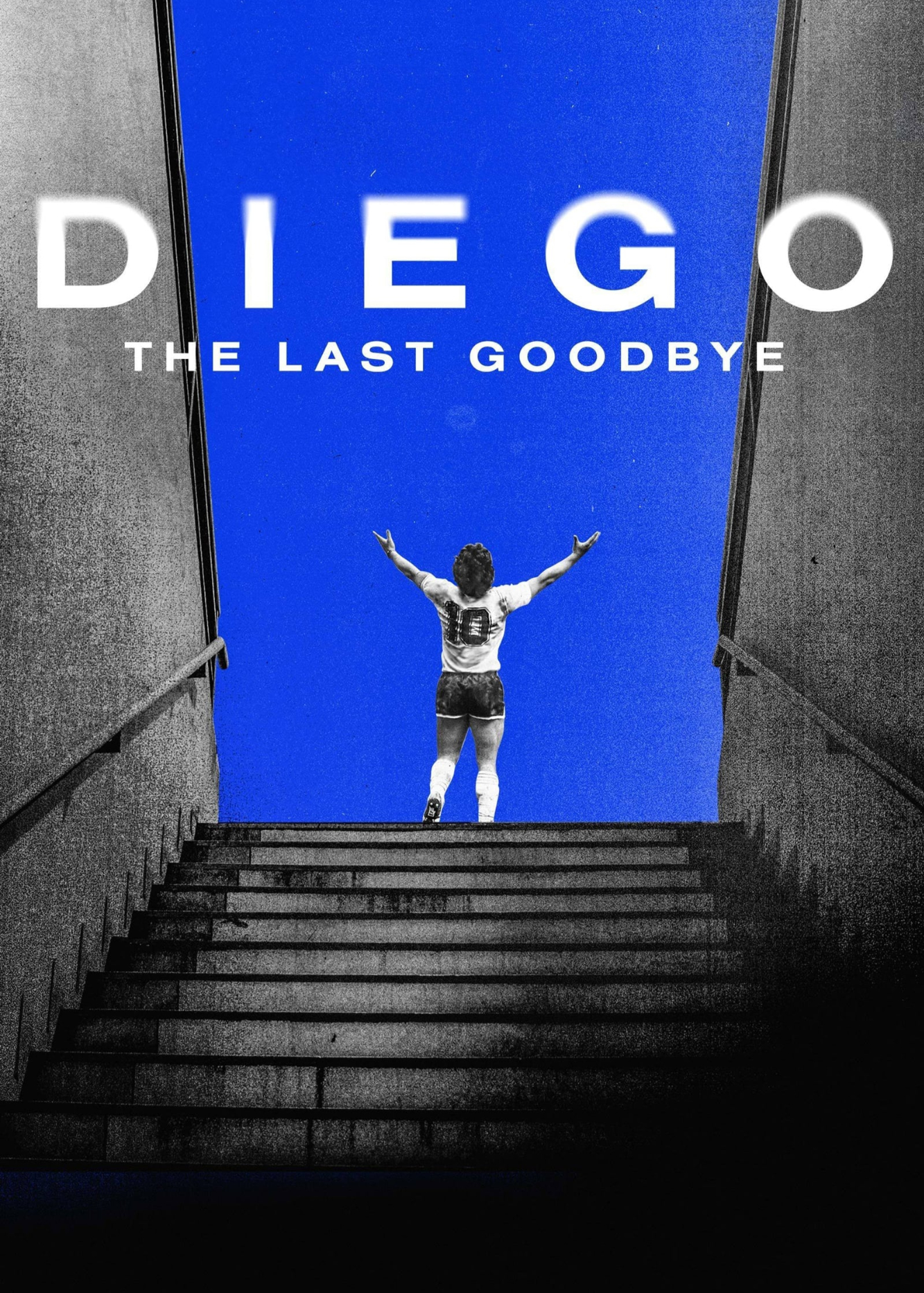 Diego: The Last GoodbyeHình bìa